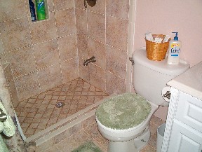 silver_and_gold bathrooms 019.JPG